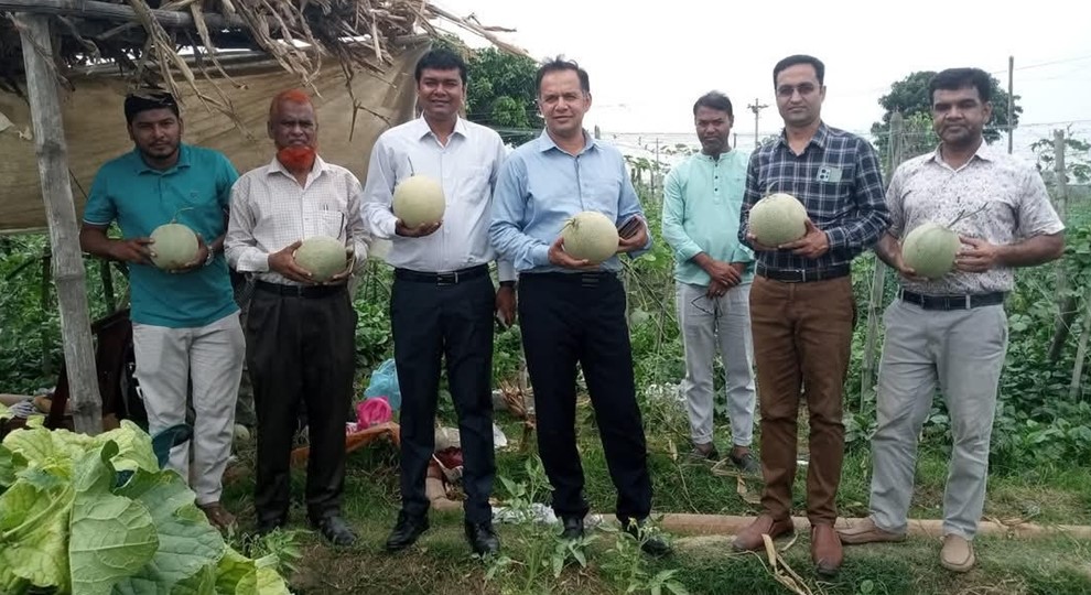 জীবননগরে কৃষকের রকমেলন ফলের বাগান