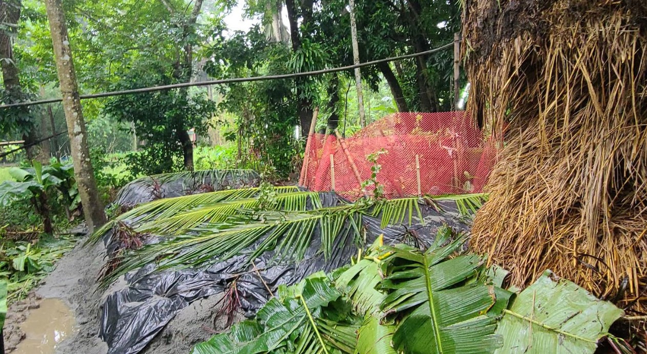 দুই পুত্রবধূ ও তিন নাতনিকে নিয়ে পাশাপাশি কবরে শুয়ে মোরশেদা বেগম