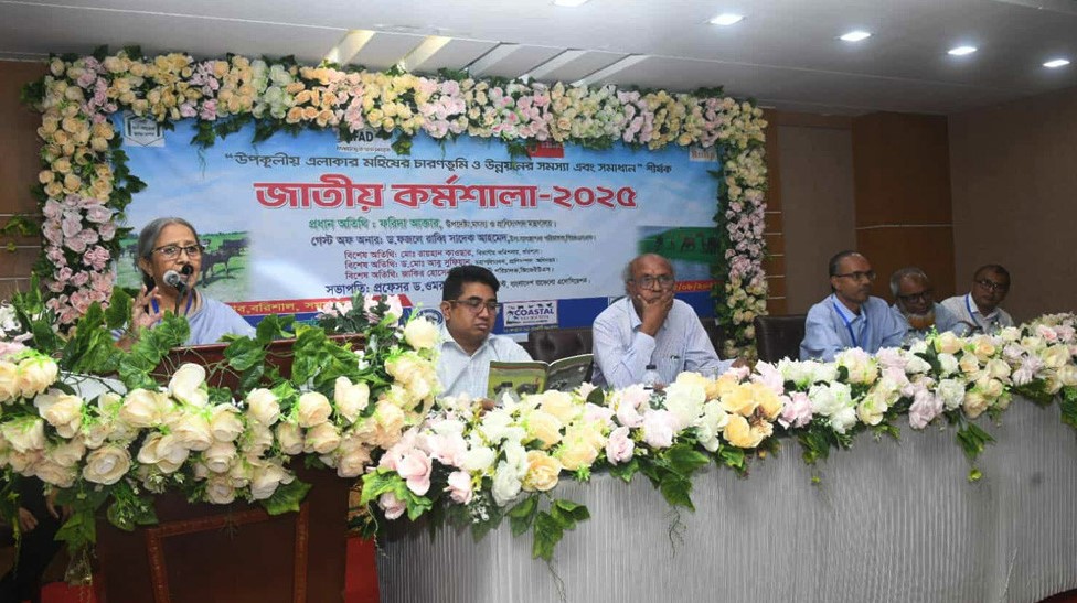 চারণভূমি হ্রাসে মহিষসম্পদ ক্ষতির সম্মুখীন: মৎস্য উপদেষ্টা