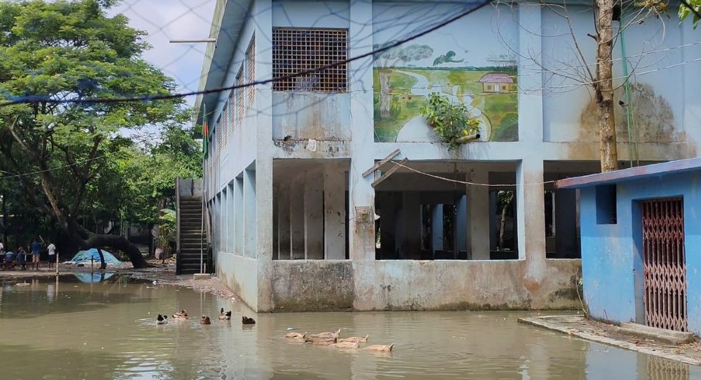 হোসেনপুর সরকারি বিদ্যালয়ে শোনা যায় হাঁসের কলকলানি
