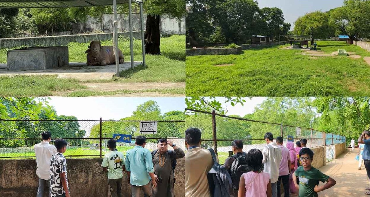 ‘ডোনাল্ড ট্রাম্প’কে দেখতে চিড়িয়াখানায় দর্শনার্থীদের ভিড়