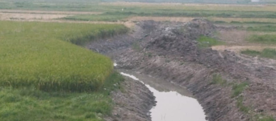 বাঞ্ছারামপুরে নিষেধাজ্ঞা সত্ত্বেও কাটা হচ্ছে ফসলী জমির টপ সয়েল