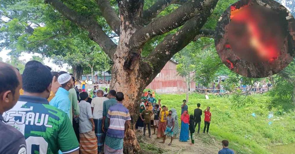 চিলমারীতে শতবর্ষী কড়ই গাছের ভেতরে জ্বলছে আগুন
