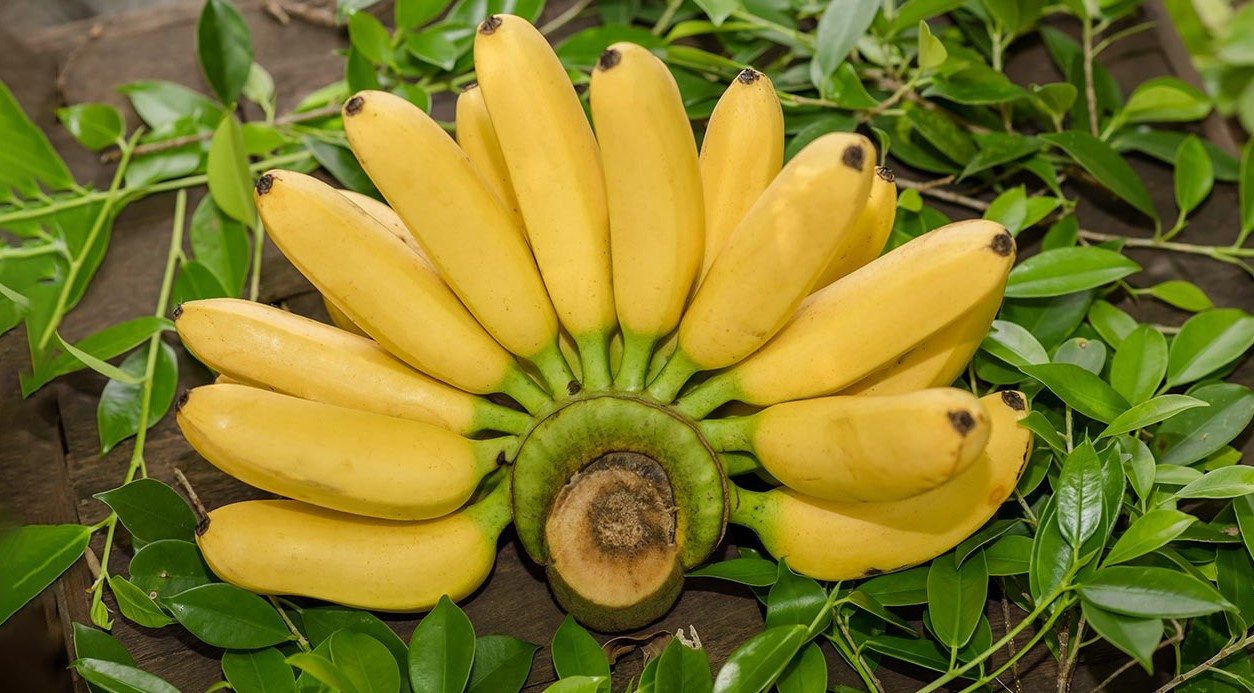 প্রতিদিন কতগুলো কলা খাওয়া যাবে?