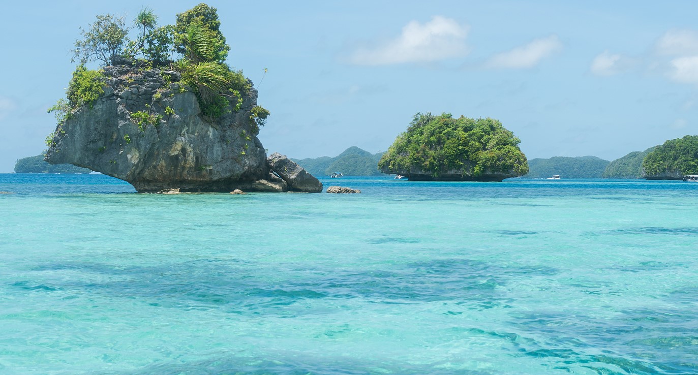 বিশ্ব সমুদ্র দিবস আজ