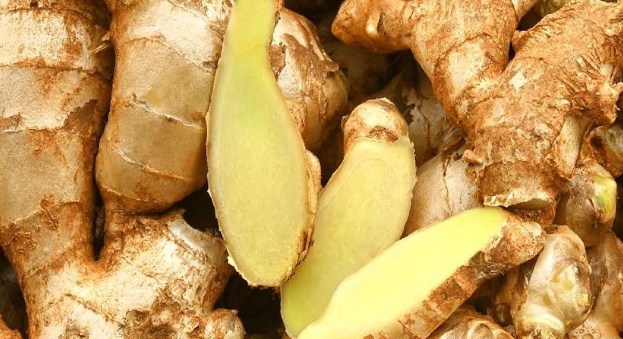 ফুসফুসের যত্নে ৫ প্রাকৃতিক উপাদান