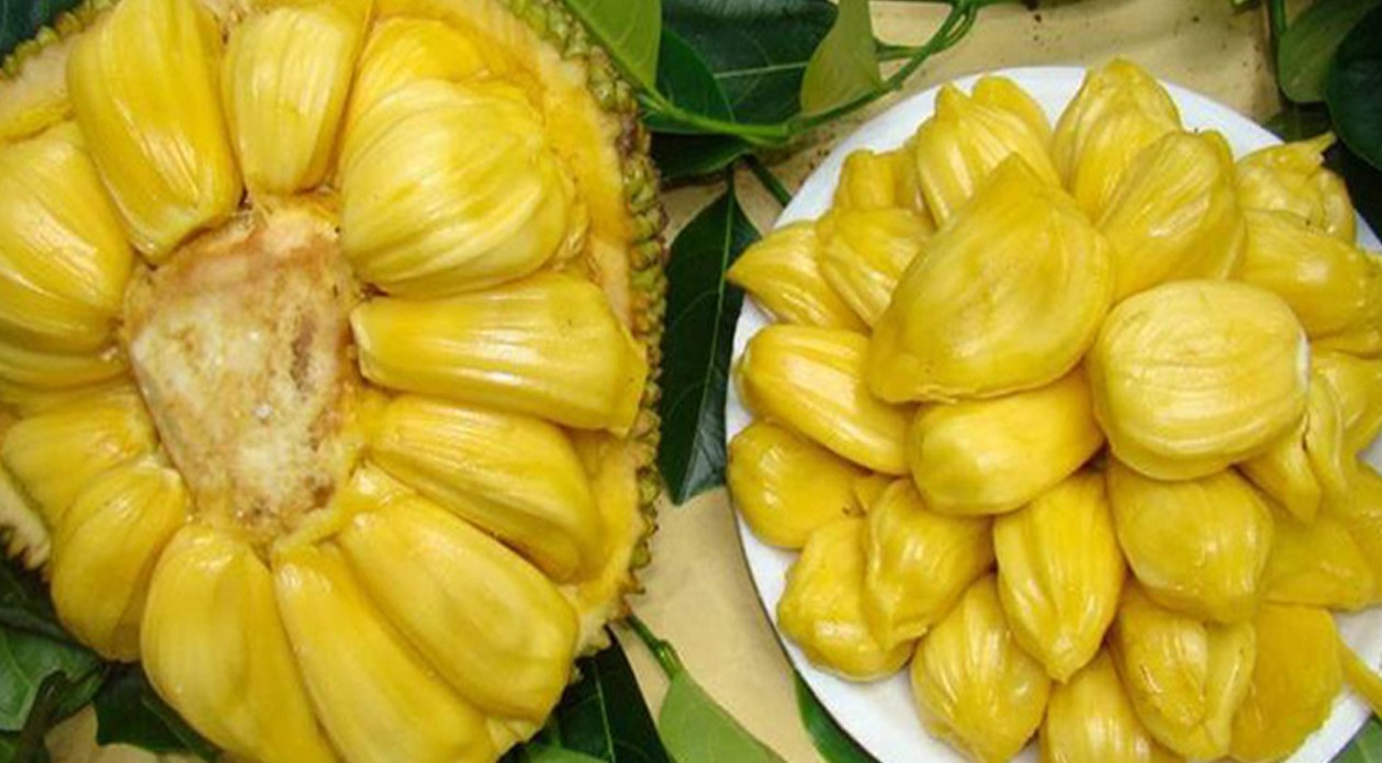 কেন কাঁঠাল খাবেন? জেনে নিন ৬টি আশ্চর্য উপকারিতা