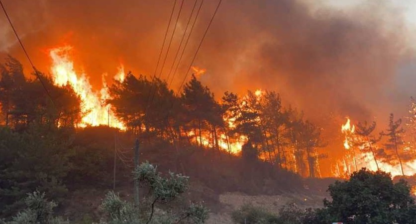 তুরস্কে ভয়াবহ দাবানল, ১০ ফায়ার সার্ভিস কর্মীর মৃত্যু
