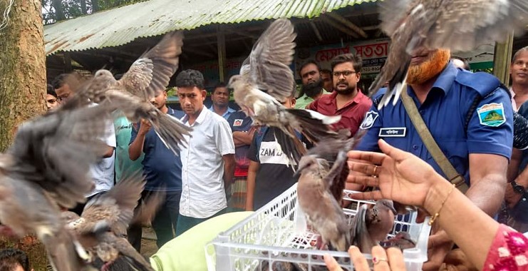 বাঘায় ২শত ঘুঘু উদ্ধার, দোকানির জরিমানা
