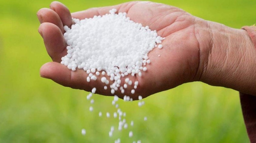 সৌদি আরব থেকে ৪০ হাজার টন ইউরিয়া সার আনবে সরকার