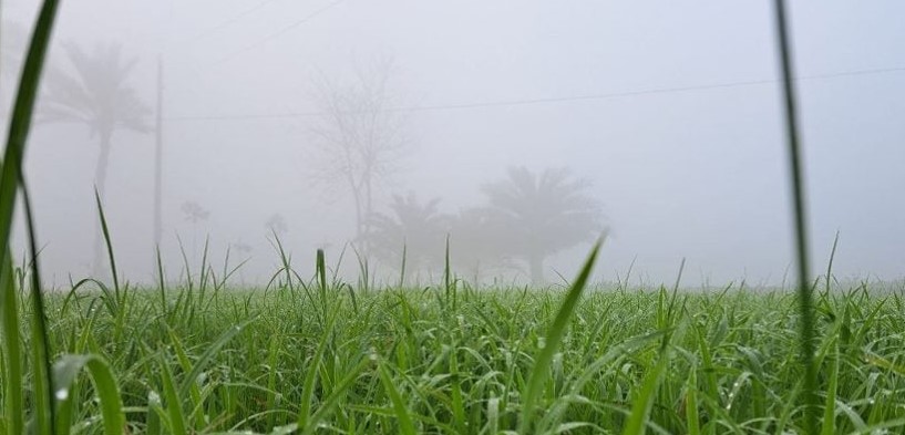 সারাদেশের বাতাসে বইছে হালকা শীতের ছোঁয়া