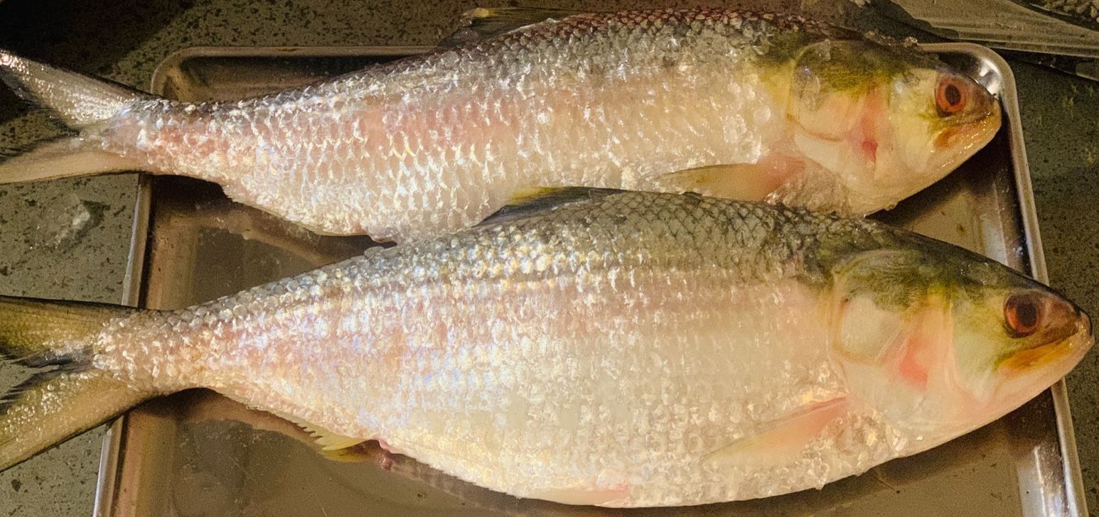 বঙ্গোপসাগরে মাছ ধরায় ৫৮ দিনের নিষেধাজ্ঞা