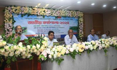 চারণভূমি হ্রাসে মহিষসম্পদ ক্ষতির সম্মুখীন: মৎস্য উপদেষ্টা