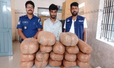 বাঞ্ছারামপুরে মাদক ব্যবসায়ী গ্রেফতার