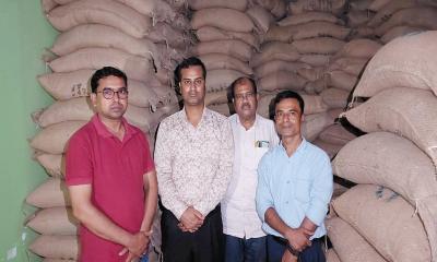 মহম্মদপুরে টিসিবির সেই ৭৭ টন চাল ডিলারের গুদাম থেকে উদ্ধার