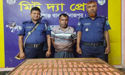নবাবগঞ্জে ৭০০ পিস ট্যাপেন্টাডলসহ মাদক ব্যবসায়ী গ্রেফতার