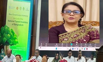 বন ও প্রাকৃতিক সম্পদ ভবিষ্যৎ প্রজন্মের নিরাপত্তার ভিত্তি
