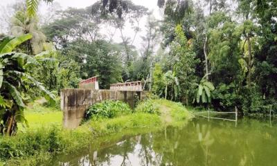 সোনাইমুড়ীতে কাজে আসছে না দেড় কোটি টাকার সেতুটি