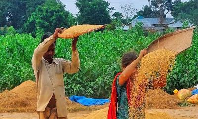 মেহনতের মজুরি