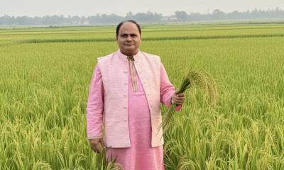 কে হবে রূপসদী ইউনিয়নের চেয়ারম্যান 