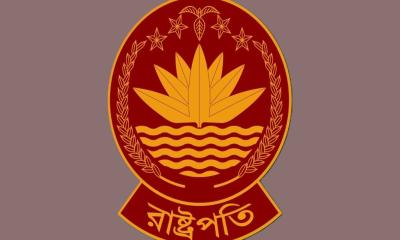 রাষ্ট্রপতি নির্বাচন: দুটি মনোনয়নপত্র সংগ্রহ করল বিএনপি