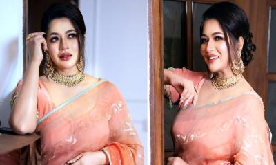 বিস্মিত বাঁধন, একাধিক গোয়েন্দা সংস্থার সঙ্গে নাম