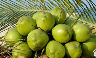 খালি পেটে ডাবের পানি খেলে শরীরে যা ঘটে