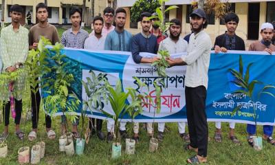 বাঞ্ছারামপুরে ছাত্রশিবিরের মাসব্যাপী বৃক্ষরোপণ কর্মসূচী পালিত