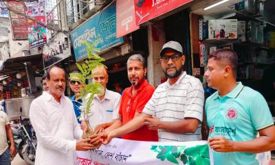প্রেসক্লাব পাবনার উদ্যোগে পথচারীদের মাঝে বৃক্ষের চারা বিতরণ