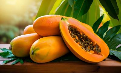 প্রায় সব রোগ দূরে রাখে পেঁপে