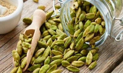 ব্লাড প্রেসার নিয়ন্ত্রণে রাখবে এলাচ