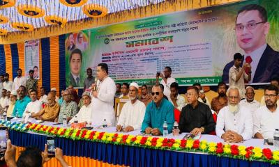 গত ১৫ বছর মৌসুমি পাখিরা কোথায় ছিলেন, প্রশ্ন কৃষিবিদ পলাশের