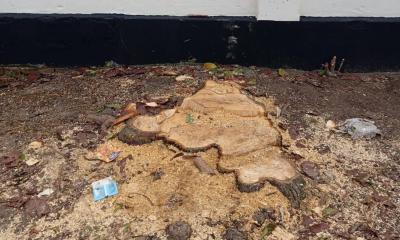 বাঞ্ছারামপুরে সন্ত্রাসীদের ভয়ে মুখ খুলছে না কেউ