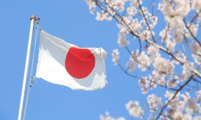 জাপানে বিপুল জনশক্তি পাঠানোর প্রস্তুতি