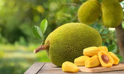 গরমকালে কেন কাঁঠাল খাবেন? জেনে নিন উপকারিতা