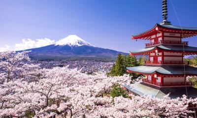 জাপানের ‘অলিখিত নিয়ম’ যেগুলো না জানলে বিব্রত হতে পারেন পর্যটকেরা