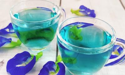 অপরাজিতা চা খেলে কী হয়?