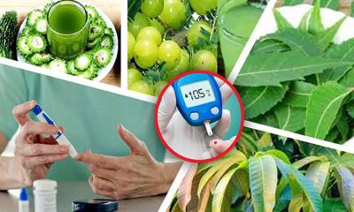 রক্তে চিনির মাত্রা নিয়ন্ত্রণে রাখবে যে খাবার