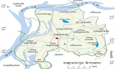বাঞ্ছারামপুরের ইউপি সচিবদের বিরুদ্ধে নানা অভিযোগ