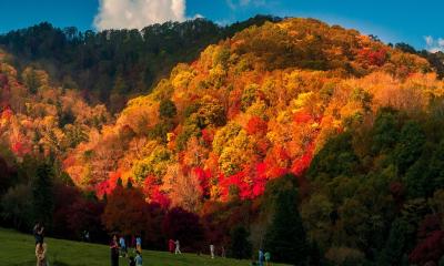 প্রথম বিদেশ ভ্রমণের আগে জেনে নিন